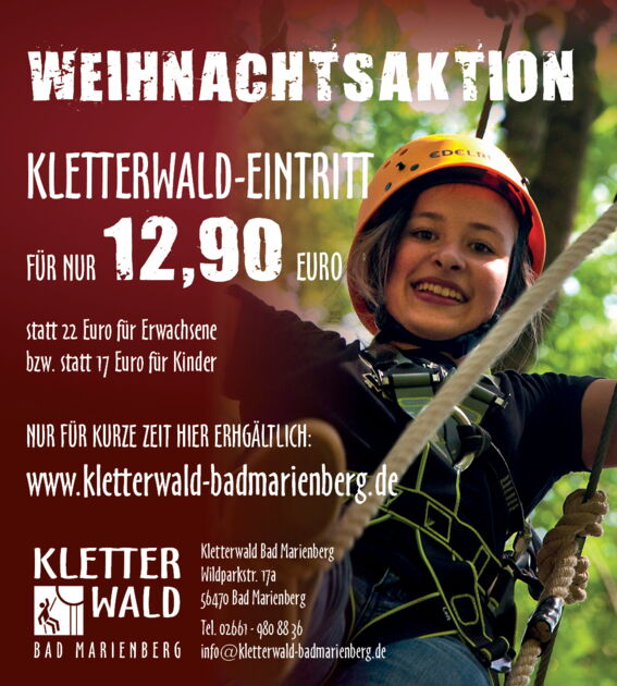 Aktionstickets - Weihnachtsaktion
